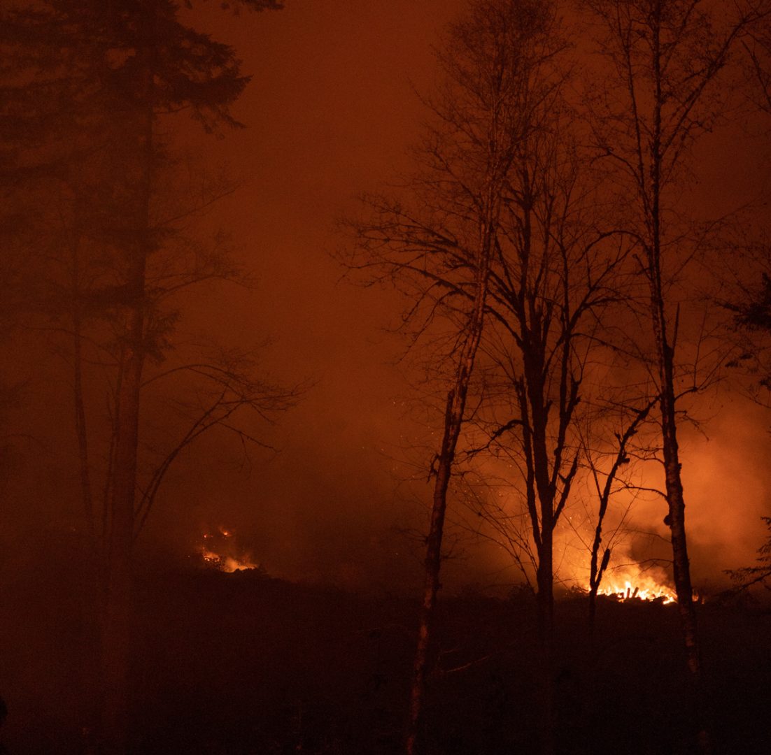 fire2 1102x1080 1