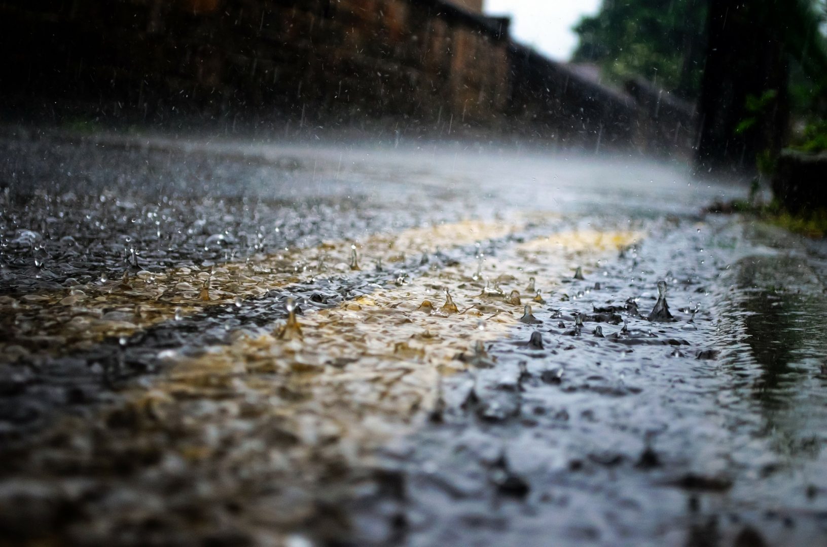 A year of science 2 rain 84648 1920 1631x1080 1