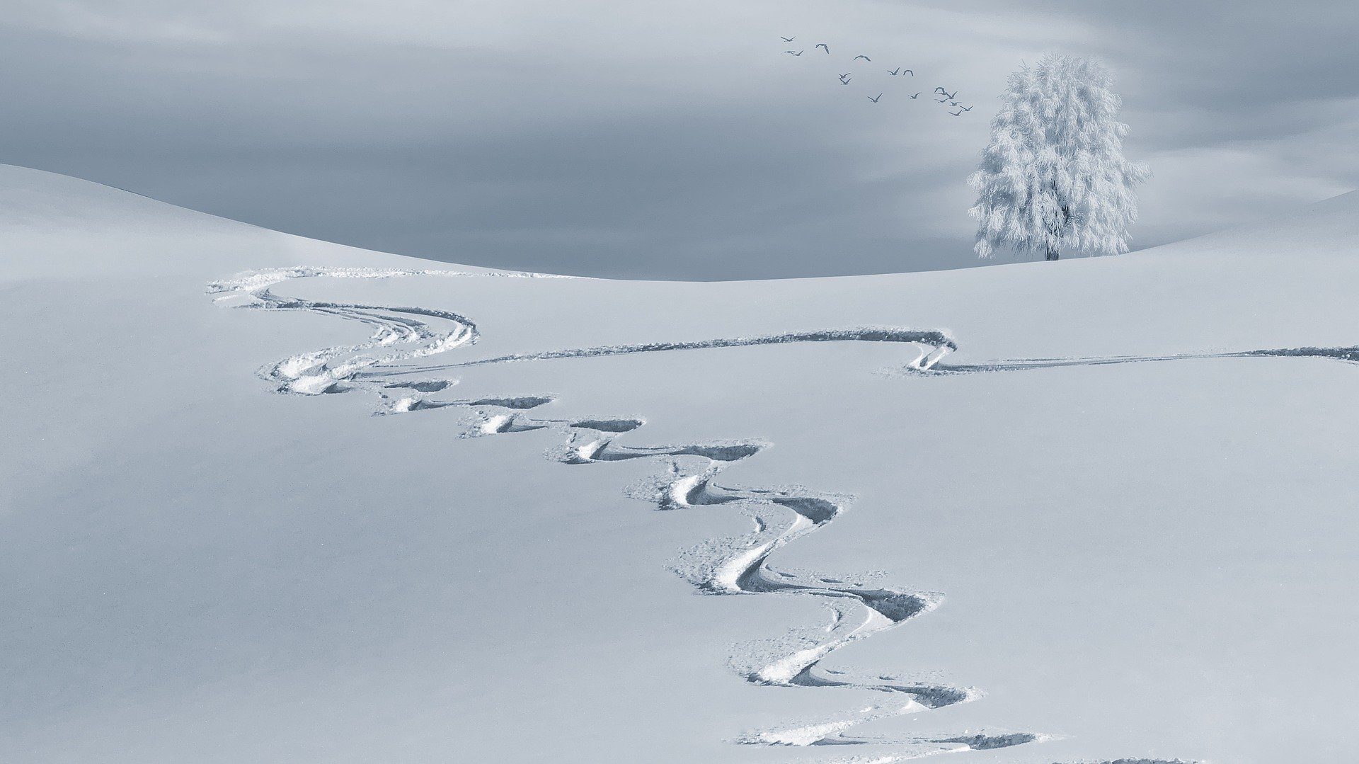 A year of science 1 wintry 2068298 1920 1920x1079 1